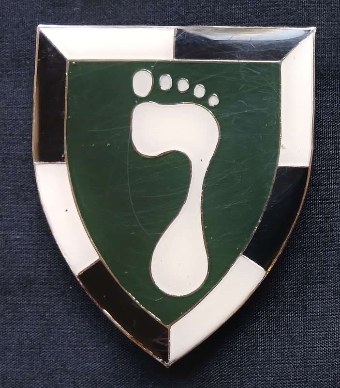 SWA SPECIALIST UNIT SHOULDER FLASH " THIN SOLE " ( GREEN WHITE & SILVER ) 1 ST ISSUE  " RARE "  L259