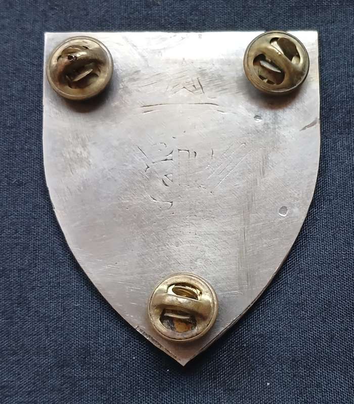 SWA SPECIALIST UNIT SHOULDER FLASH " THIN SOLE " ( GREEN WHITE & SILVER ) 1 ST ISSUE  " RARE "  L259