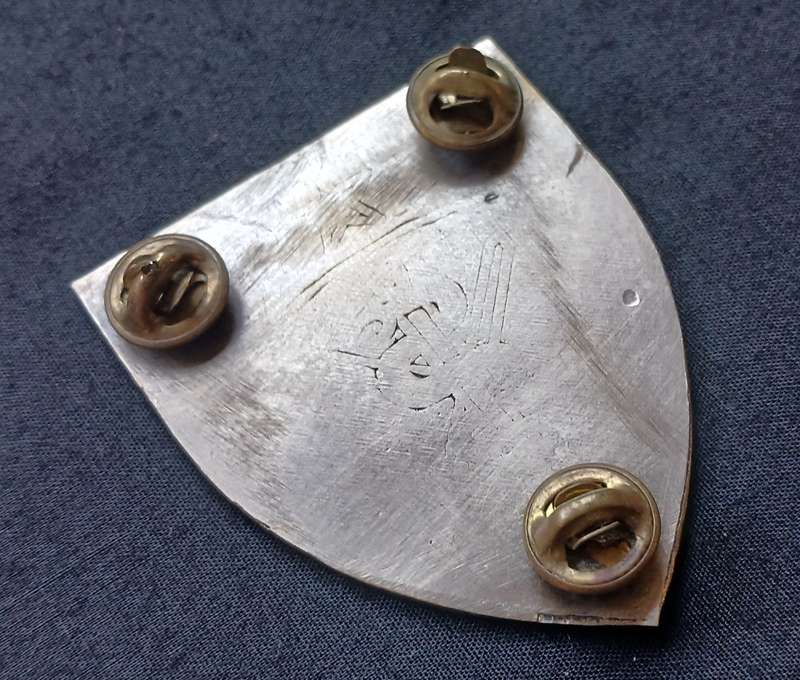 SWA SPECIALIST UNIT SHOULDER FLASH " THIN SOLE " ( GREEN WHITE & SILVER ) 1 ST ISSUE  " RARE "  L259
