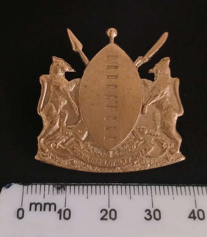 HOMELANDS - TRANSKEI DEFENCE FORCE GILDING CAP BADGE  "" SCARCE ""        P1