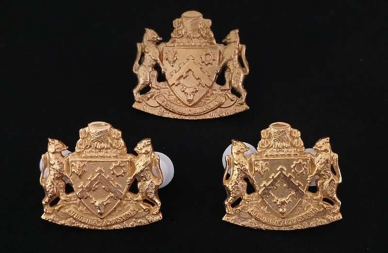 HOMELANDS ---- TRANSKEI CAP AND COLLAR BADGES GILDED   "" SCARCE ""                  P4