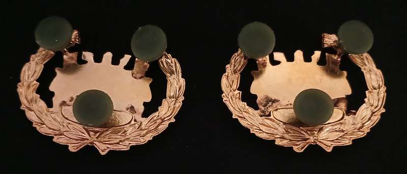 HOMELANDS ---- BOPHUTATSWANA WO SLEEVE INSIGNIA  "" SCARCE ""          P6