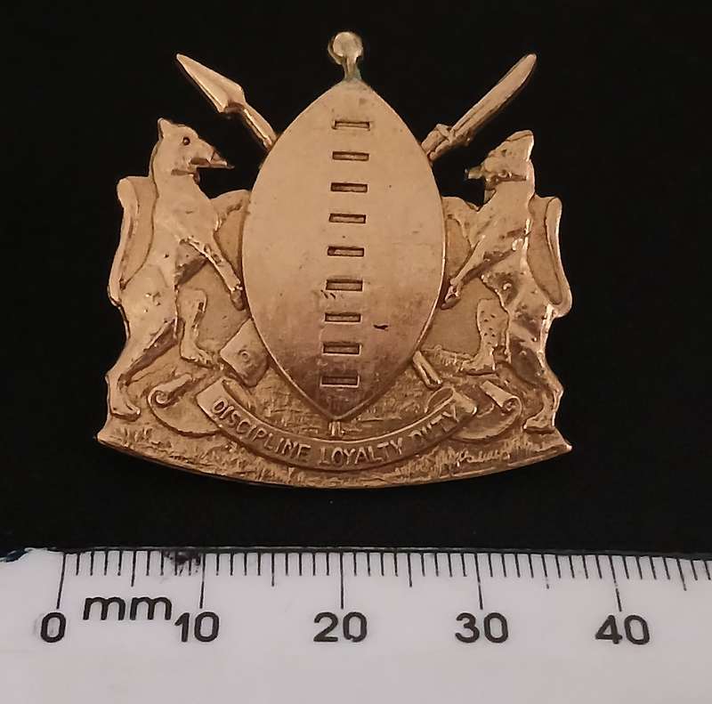 HOMELANDS --- TRANSKEI DEFENCE FORCE GILDING CAP BADGE           " SCARCE "                 P8