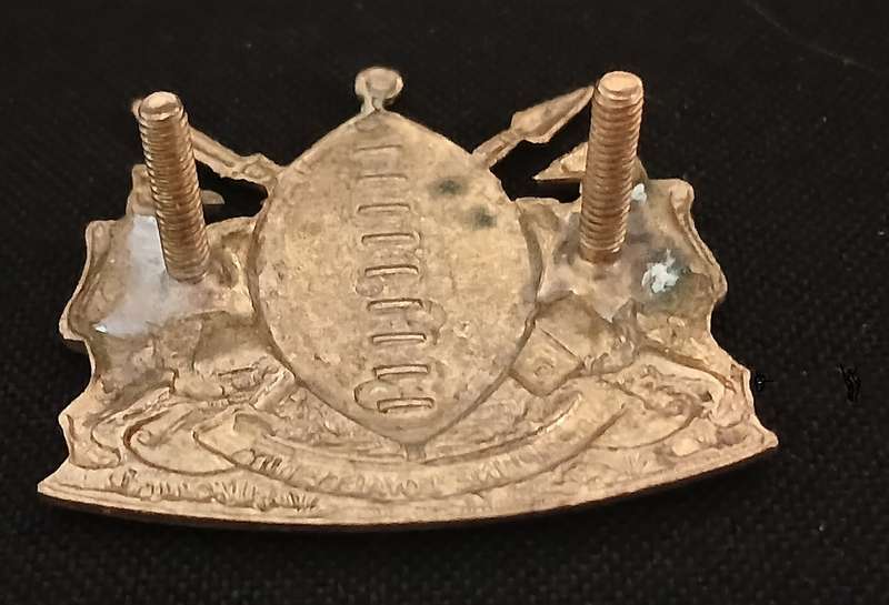 HOMELANDS --- TRANSKEI DEFENCE FORCE GILDING CAP BADGE           " SCARCE "                 P8