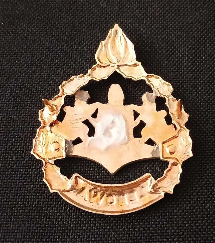 Homelands ---- LEBOWA POLICE WARRANT OFFICERS RANK BADGE               P12