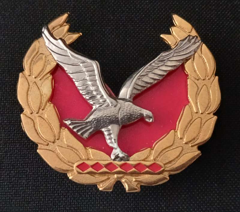 Namibian Police Force Warrant Officer Class 1 Rank Badge With Backing     Size: 43 x 48mm       P11