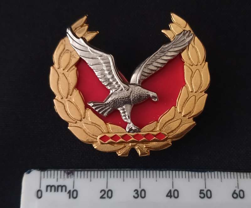 Namibian Police Force Warrant Officer Class 1 Rank Badge With Backing     Size: 43 x 48mm       P11