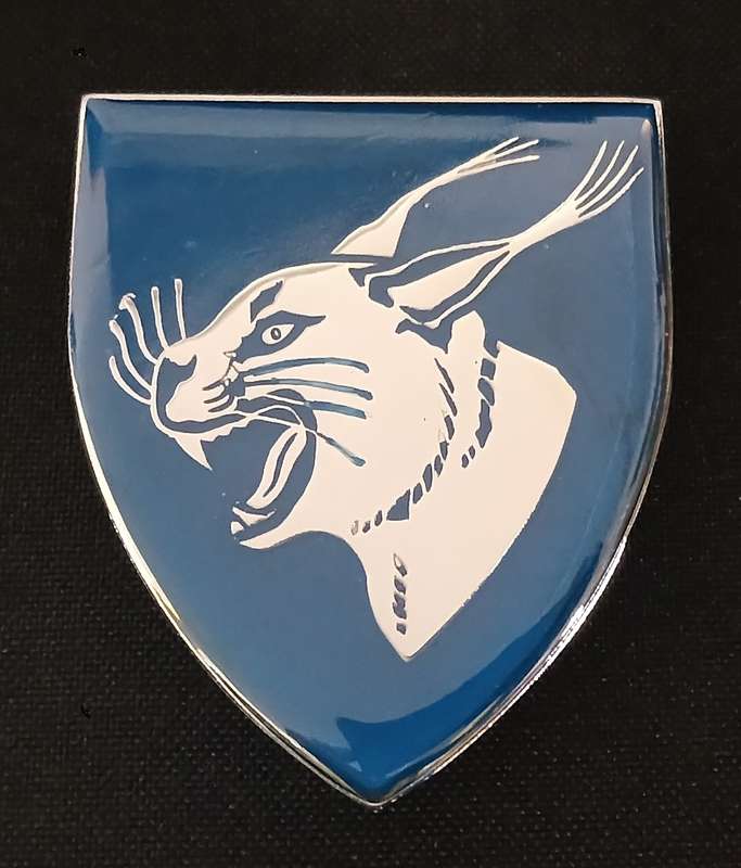 SADF --- NORTHAM COMMANDO SHOULDER FLASH  ( COLOUR ERROR SILVER )                 E3