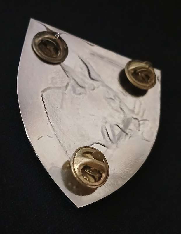 SADF --- NORTHAM COMMANDO SHOULDER FLASH  ( COLOUR ERROR SILVER )                 E3