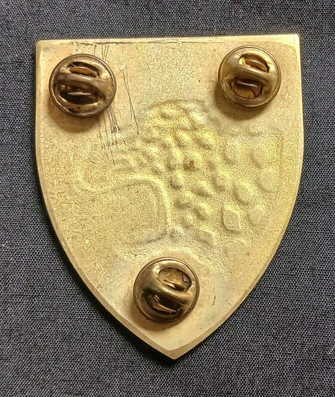 SADF --- MIDLAND COMMANDO SHOULDER FLASH  ( COLOUR ERROR GREEN )             E6