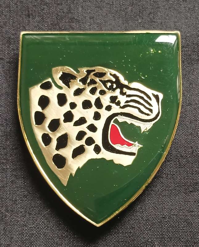 SADF --- MIDLAND COMMANDO SHOULDER FLASH  ( COLOUR ERROR GREEN )             E6