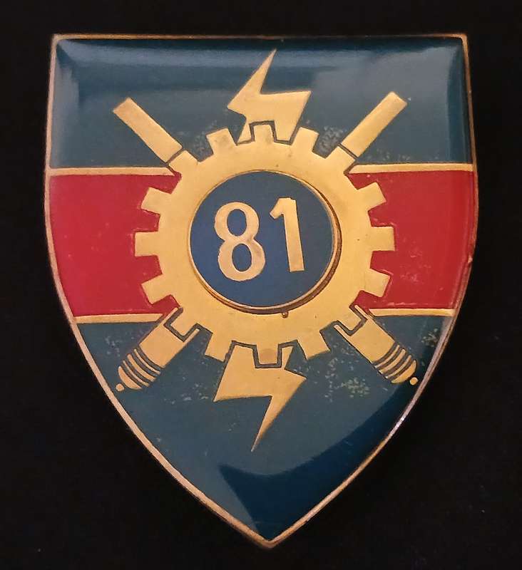 SADF --- 81 Technical Stores Depot Shoulder Flash ( GOLD )         P29