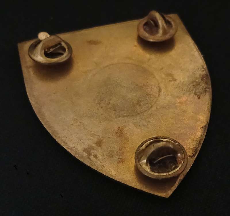 SADF --- 81 Technical Stores Depot Shoulder Flash ( GOLD )         P29