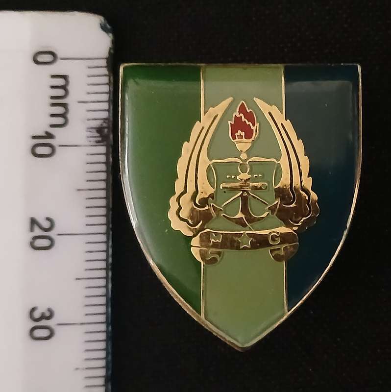 SADF ARMY GYMNASIUM SIGNAL UNIT FOB BADGE ( GOLD )       L271