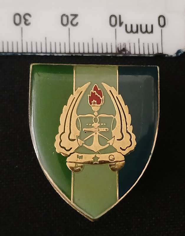 SADF ARMY GYMNASIUM SIGNAL UNIT FOB BADGE ( GOLD )       L271
