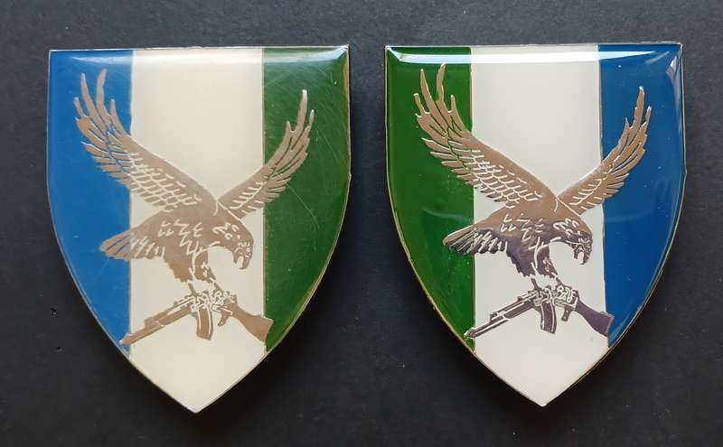 SWA 101 BATTALION RECONNAISSANCE COMPANY SHOULDER FLASH PAIR           L274