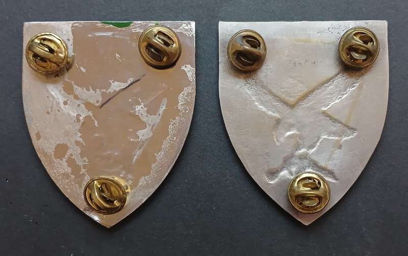 SWA 101 BATTALION RECONNAISSANCE COMPANY SHOULDER FLASH PAIR           L274