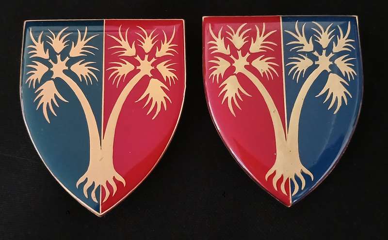 SADF 101 WORKSHOP UNIT SHOULDER FLASH PAIR                   L278
