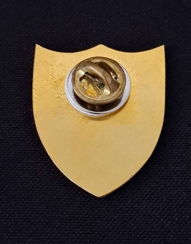 South African Police SWAT  Pin Badge   ( Size 37 x 30 mm )