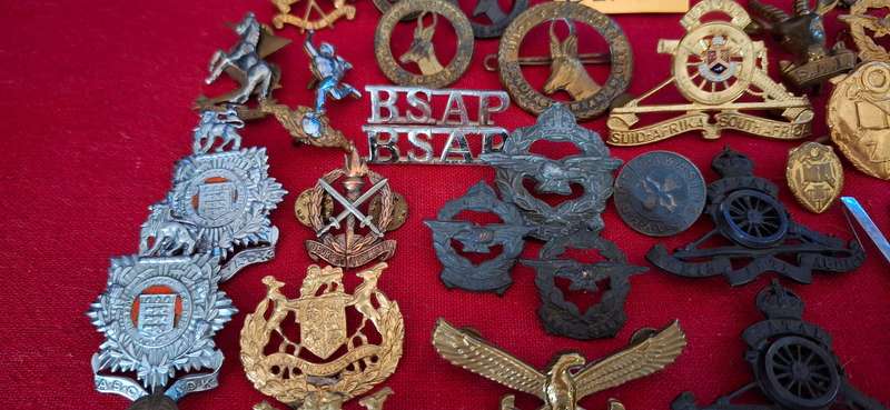 MIX Lot Of MILITARY BADGES  -- ONE Bid For The Lot All Lugs and Pins Intact ( 92 Badges In Total )