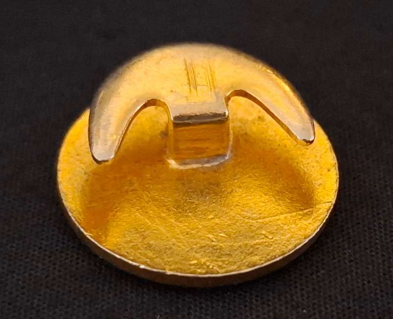 SA Posvereniging / Postal Association Buttonhole Badge                          E19