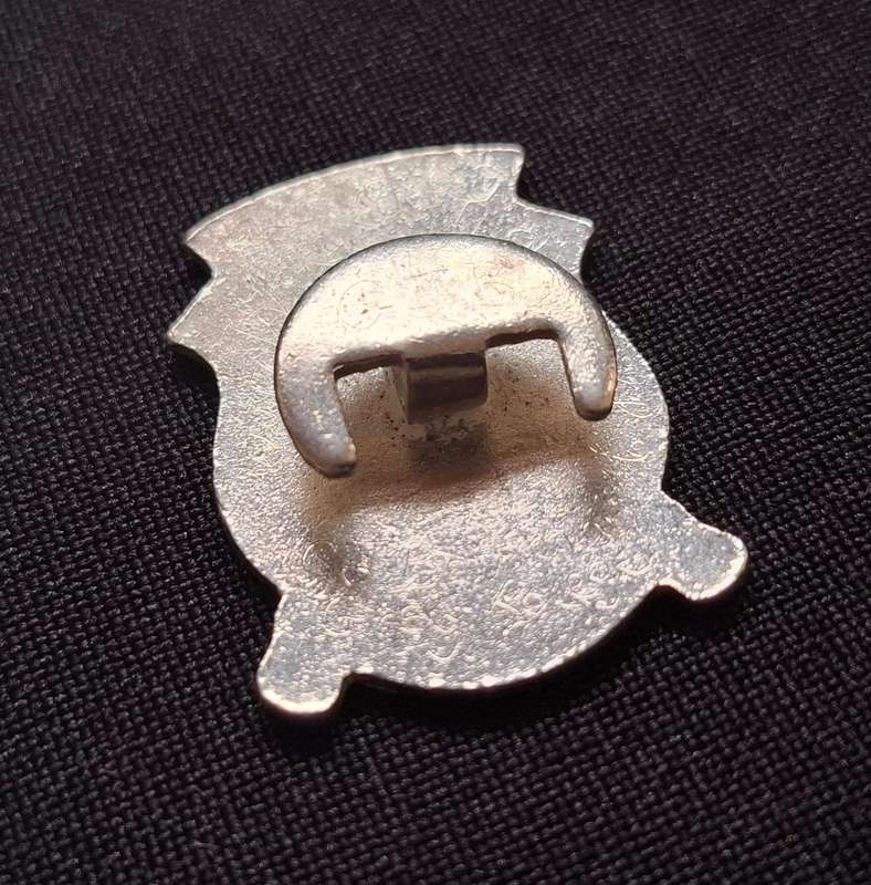 Grey Collage Bloemfontein 100 Years 1855 - 1955 Celebration Buttonhole Badge            E25