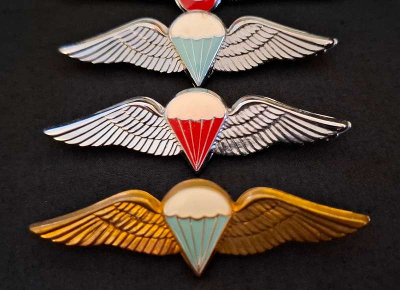 SADF PARACHUTE WINGS COLLECTION Of 5 Wings - Full Size `    One Bid For The Lot           E26