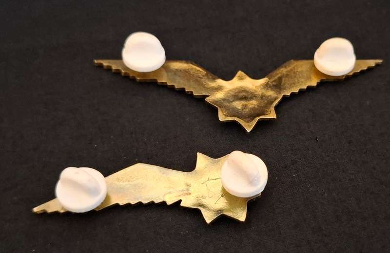 South African Police --- PILOT And CO-PILOT Wings     ( Note One Pin Repaired )                  E37