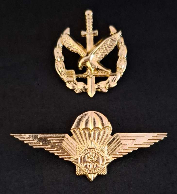 South African Police Special Task Force Operators Badge + Parachute Wings Badge Combo    E38