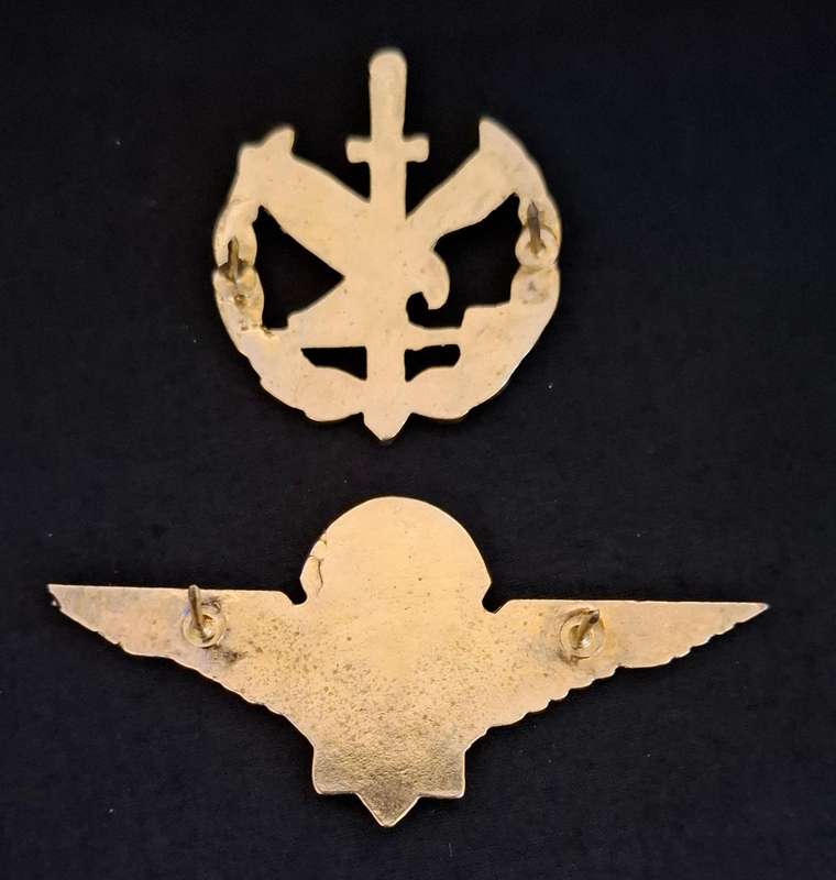 South African Police Special Task Force Operators Badge + Parachute Wings Badge Combo    E38