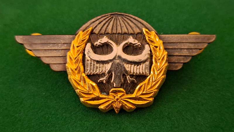 SAAF Task Force Qualification Badge ( Bi-Metal )                        E39