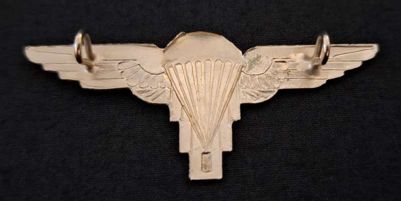 Zimbabwe - Post 1980 - Early - Zimbabwe Parachute Regiment Wings              E40