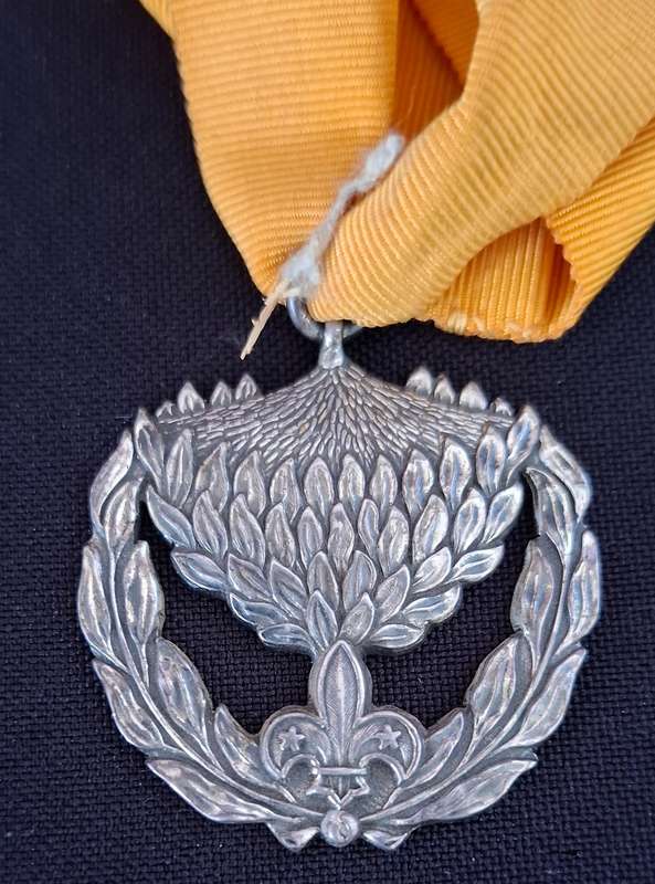 Unknown MEDAL ( PROTEA )   "STUNNING"             E59