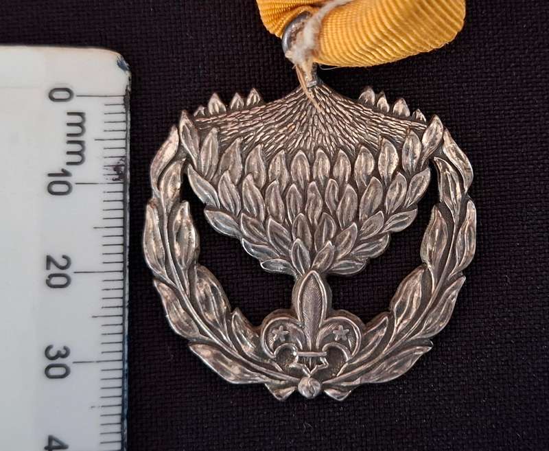 Unknown MEDAL ( PROTEA )   "STUNNING"             E59