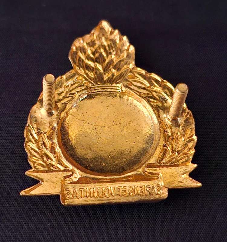 Bophuthatswana Army Engineers Cap Badge                  E69