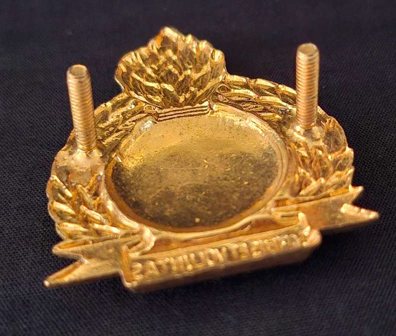Bophuthatswana Army Engineers Cap Badge                  E69
