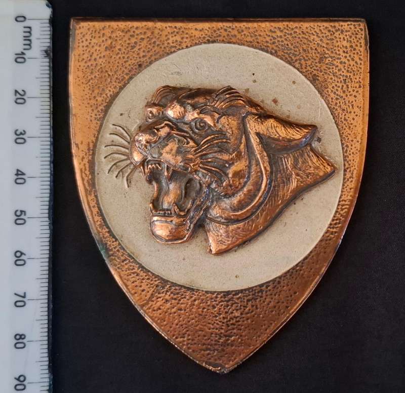 SAAF 19 SQUADRON BRASS BADGE  ( WITH RAISED EMBLEM )       ""STUNNING""   Weight 171,6 g       E72