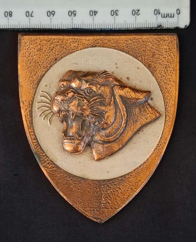 SAAF 19 SQUADRON BRASS BADGE  ( WITH RAISED EMBLEM )       ""STUNNING""   Weight 171,6 g       E72