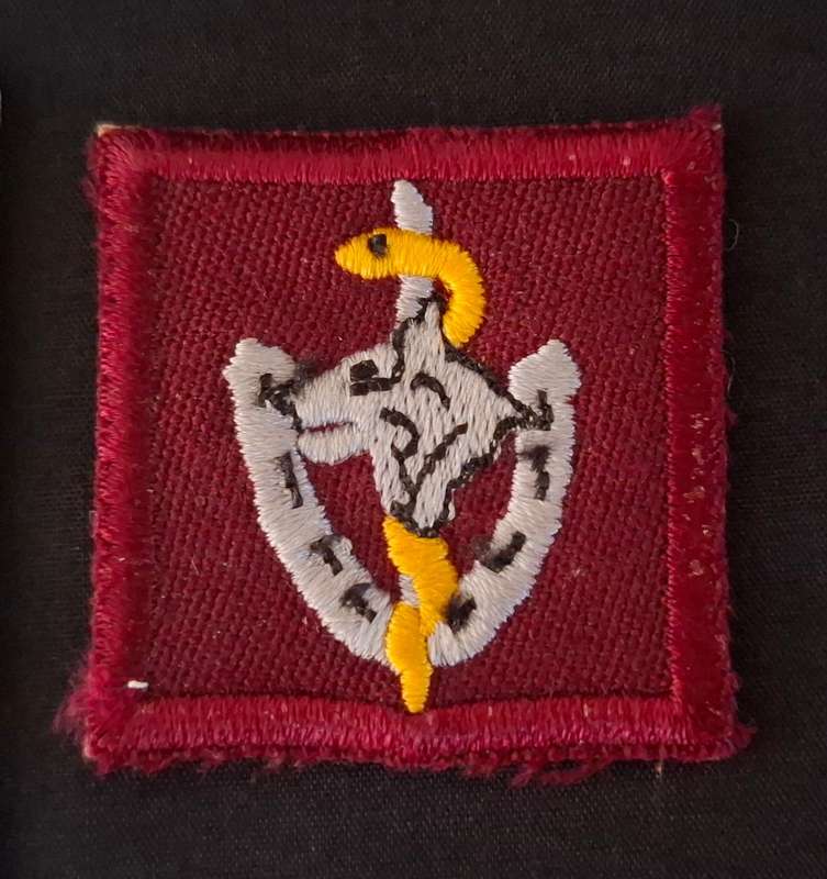 SA MILITARY HEALTH SERVICES VETERINARY ORDERLY Cloth Embroidered Badge     "" VERY RARE ""   E73