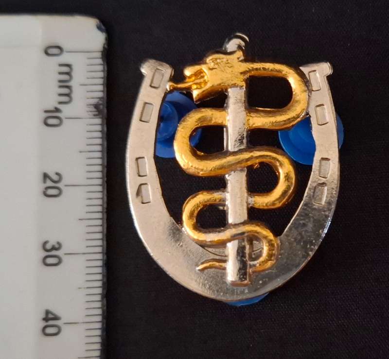 SOUTH AFRICAN MEDICAL HEALTH SERVICES  FARRIER BI-METAL BADGE        E74