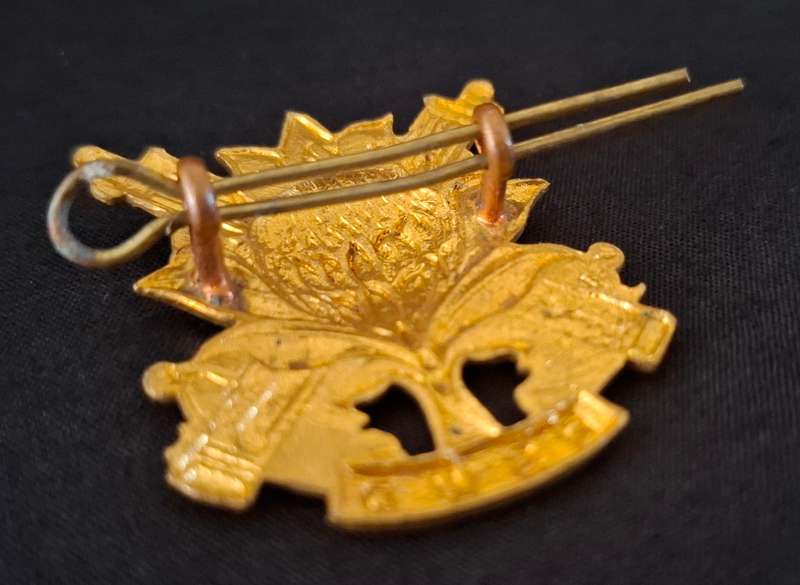 Regiment Langenhoven Cap Badge                   E79