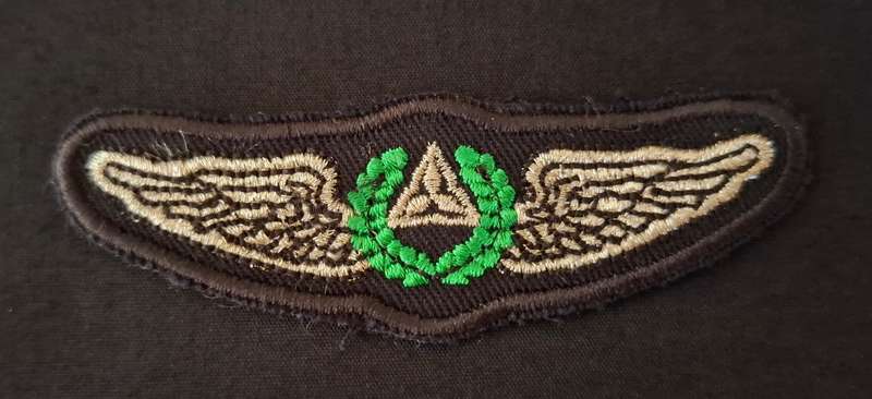 SWA Air Force Pilot Wings 2nd Pattern Cloth Embroidered                  E77