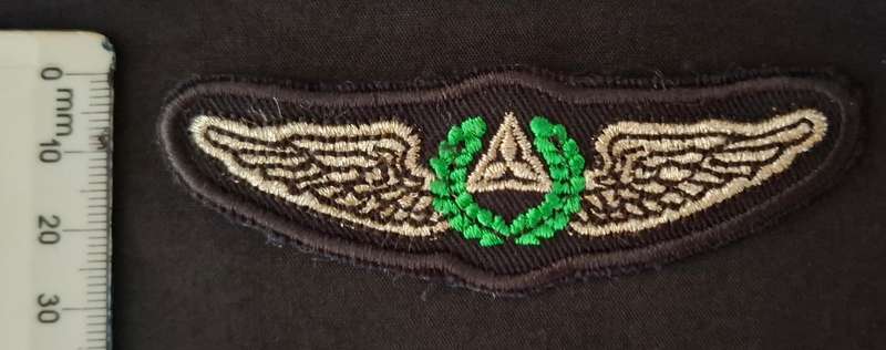 SWA Air Force Pilot Wings 2nd Pattern Cloth Embroidered                  E77