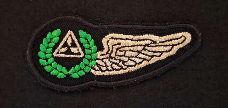 SWA Air Force Navigators Wing Cloth Embroidered     E80