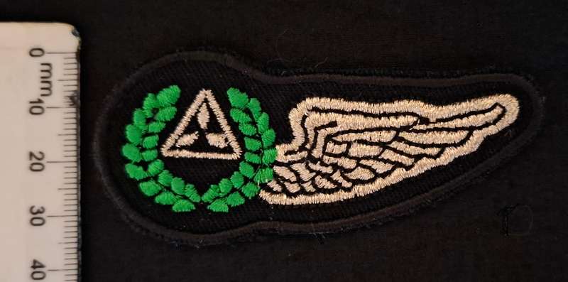 SWA Air Force Navigators Wing Cloth Embroidered     E80