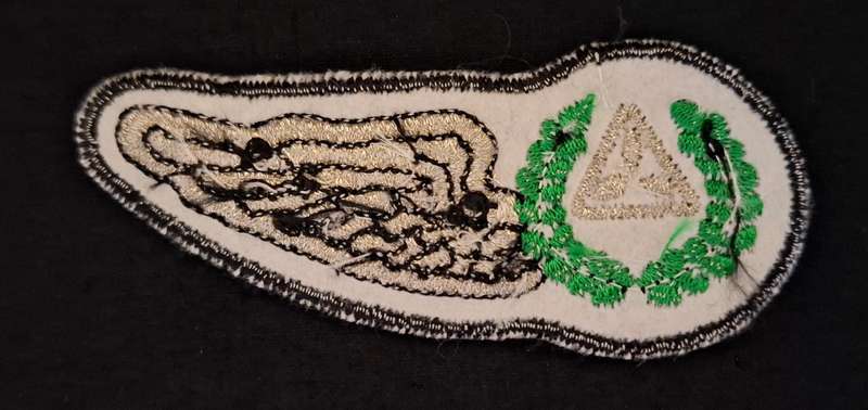 SWA Air Force Navigators Wing Cloth Embroidered     E80