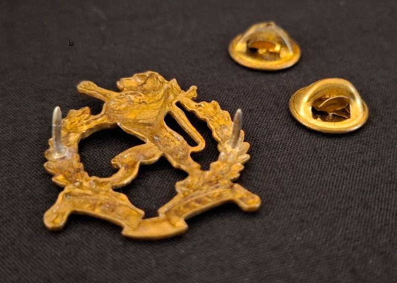 Regiment Hoeveld Gilding Metal Collar Badge   ( STAAN FERM )                E86