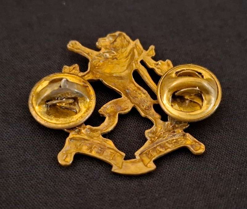 Regiment Hoeveld Gilding Metal Collar Badge   ( STAAN FERM )                E86