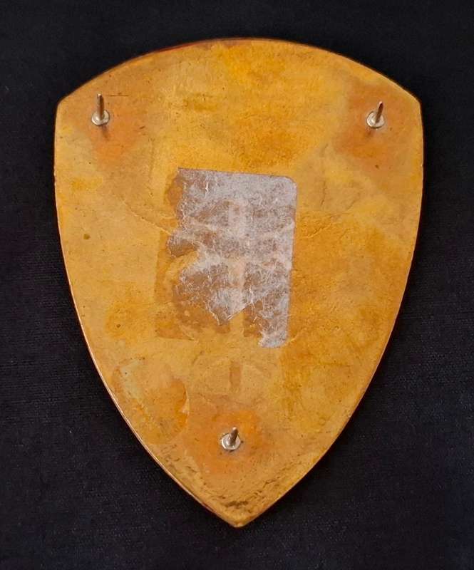 SADF -- SAMS 13 Field Ambulance Unit Shoulder Flash         E91
