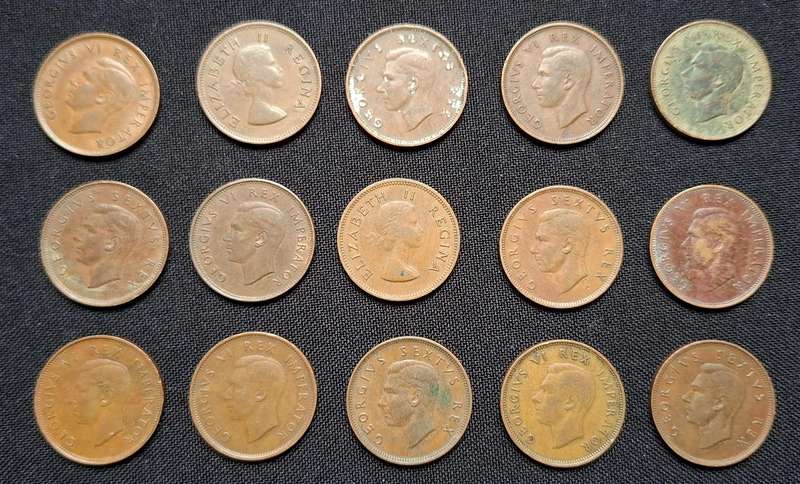 UNION OF SOUTH AFRICA Half Penny Lot       ------  One Bid For The Lot Of 15 Coins